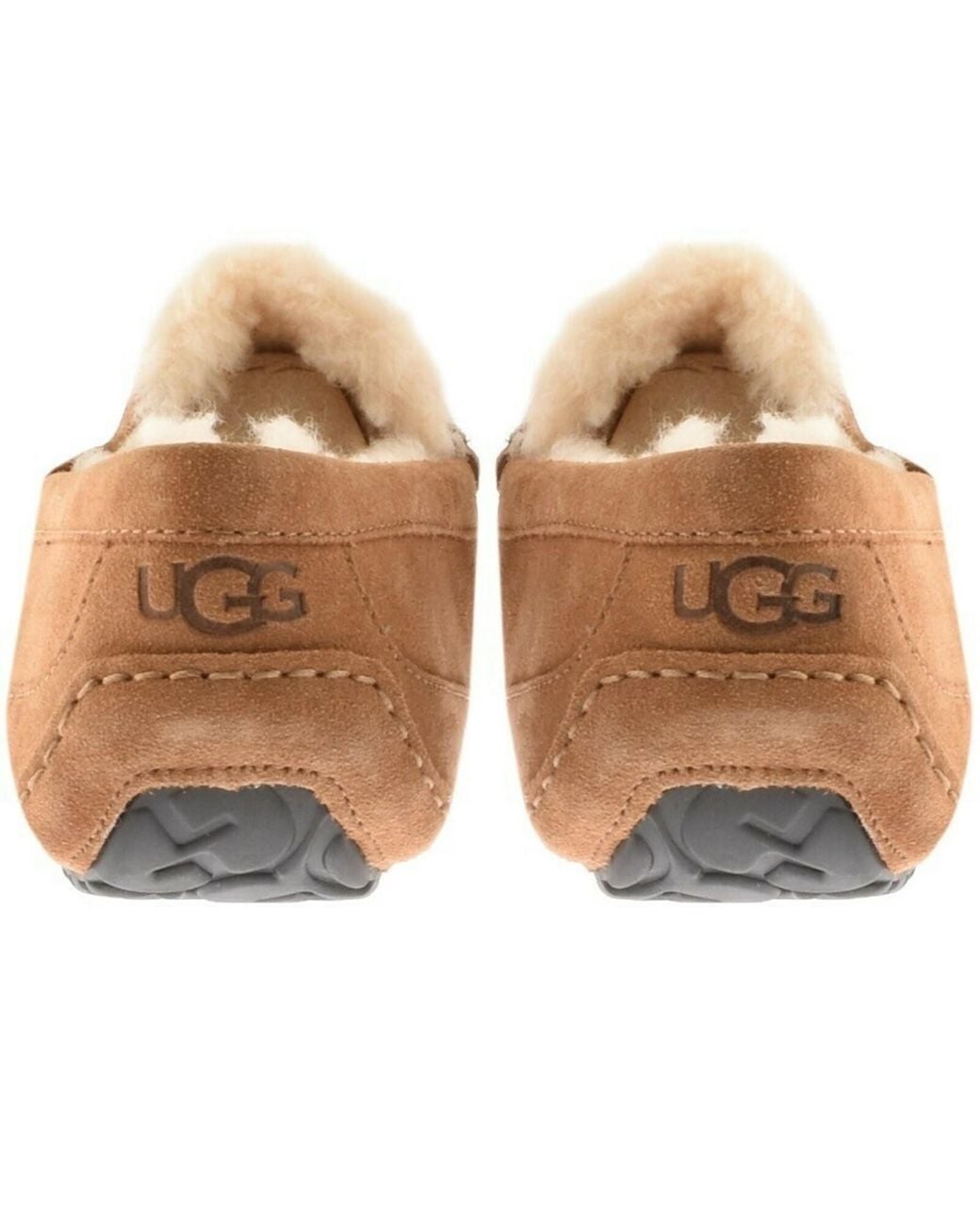 Ugg Brown Ascot Slippers Chestnut for men