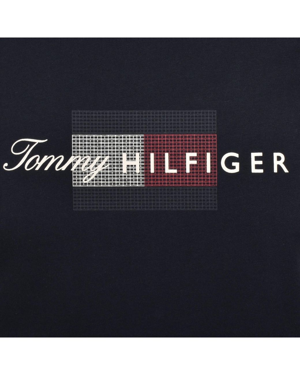 Tommy Hilfiger Blue Script Flag T Shirt for men