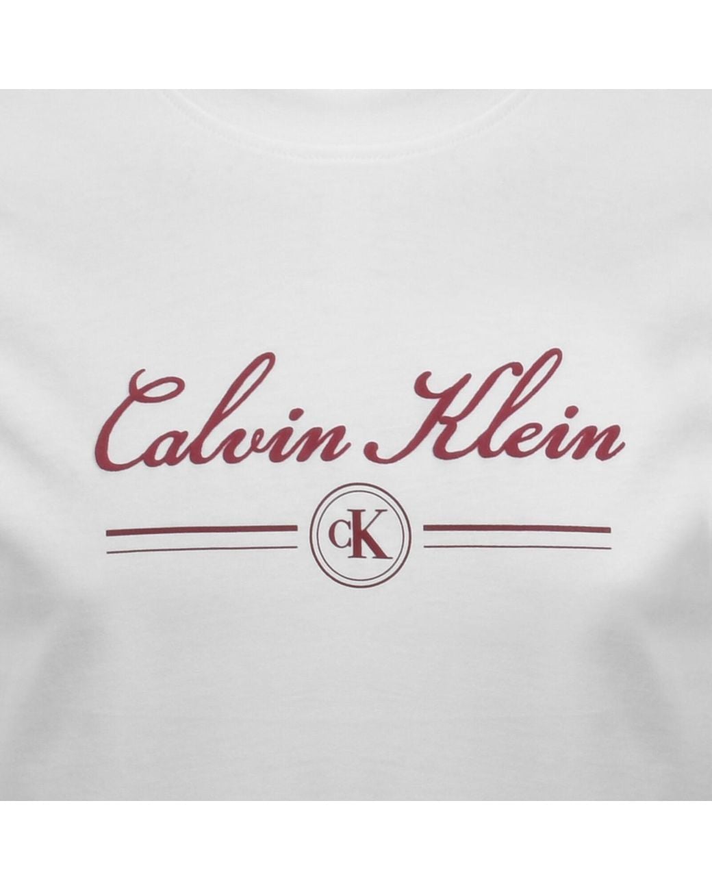 Calvin Klein Gray Jeans Script T Shirt for men