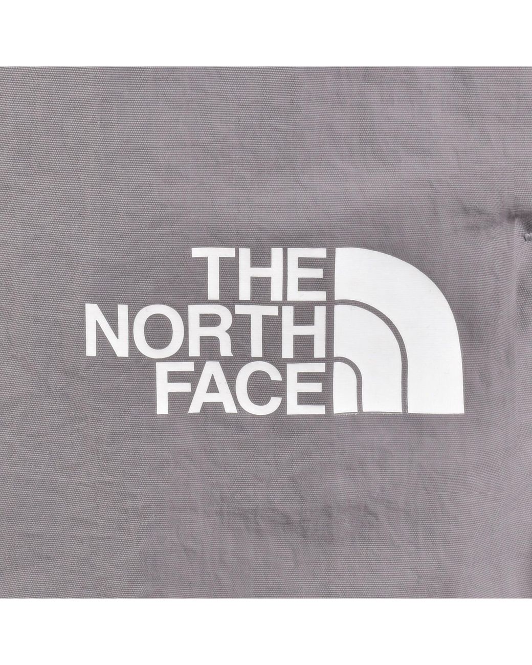 The North Face Gray Loose Fit Belted Shorts for men