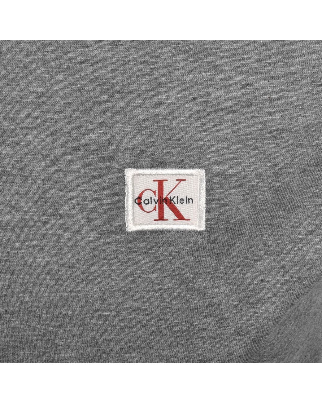 Calvin Klein Gray Jeans Badge T Shirt for men