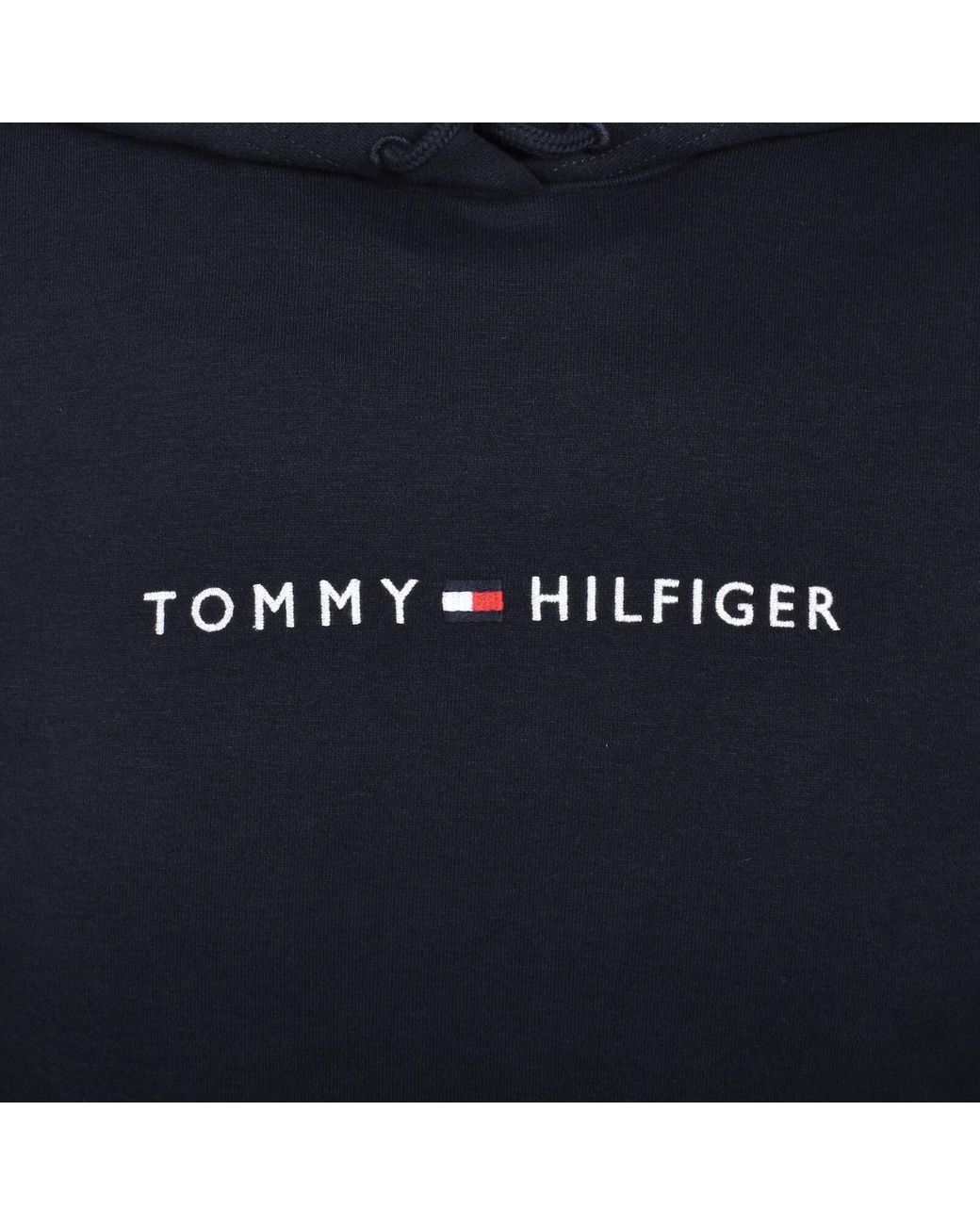 Tommy Hilfiger Blue Overhead Hoodie for men