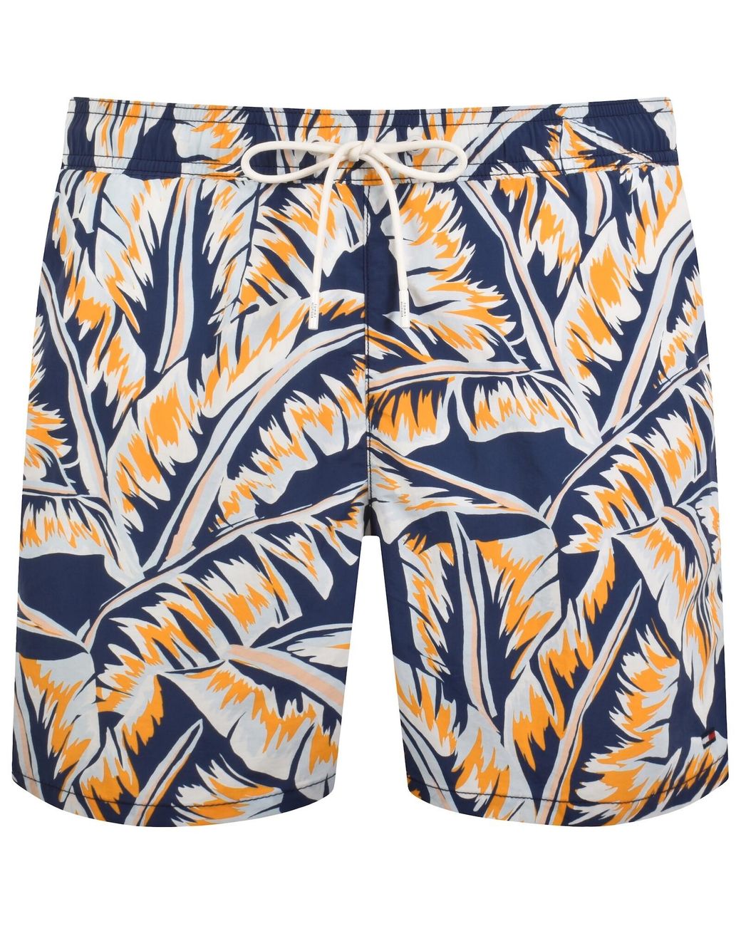Tommy Hilfiger Blue Swim Shorts for men