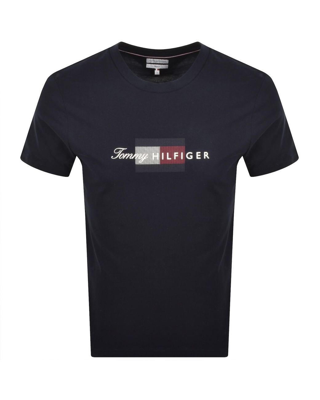 Tommy Hilfiger Blue Script Flag T Shirt for men