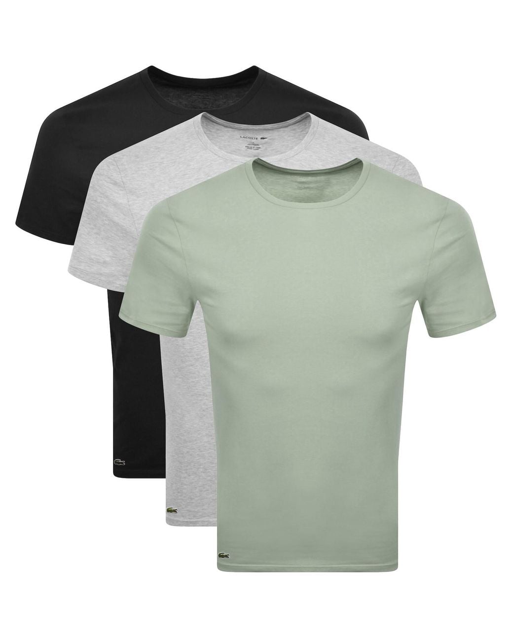 Lacoste Green Slim Fit 3 Pack T Shirts for men