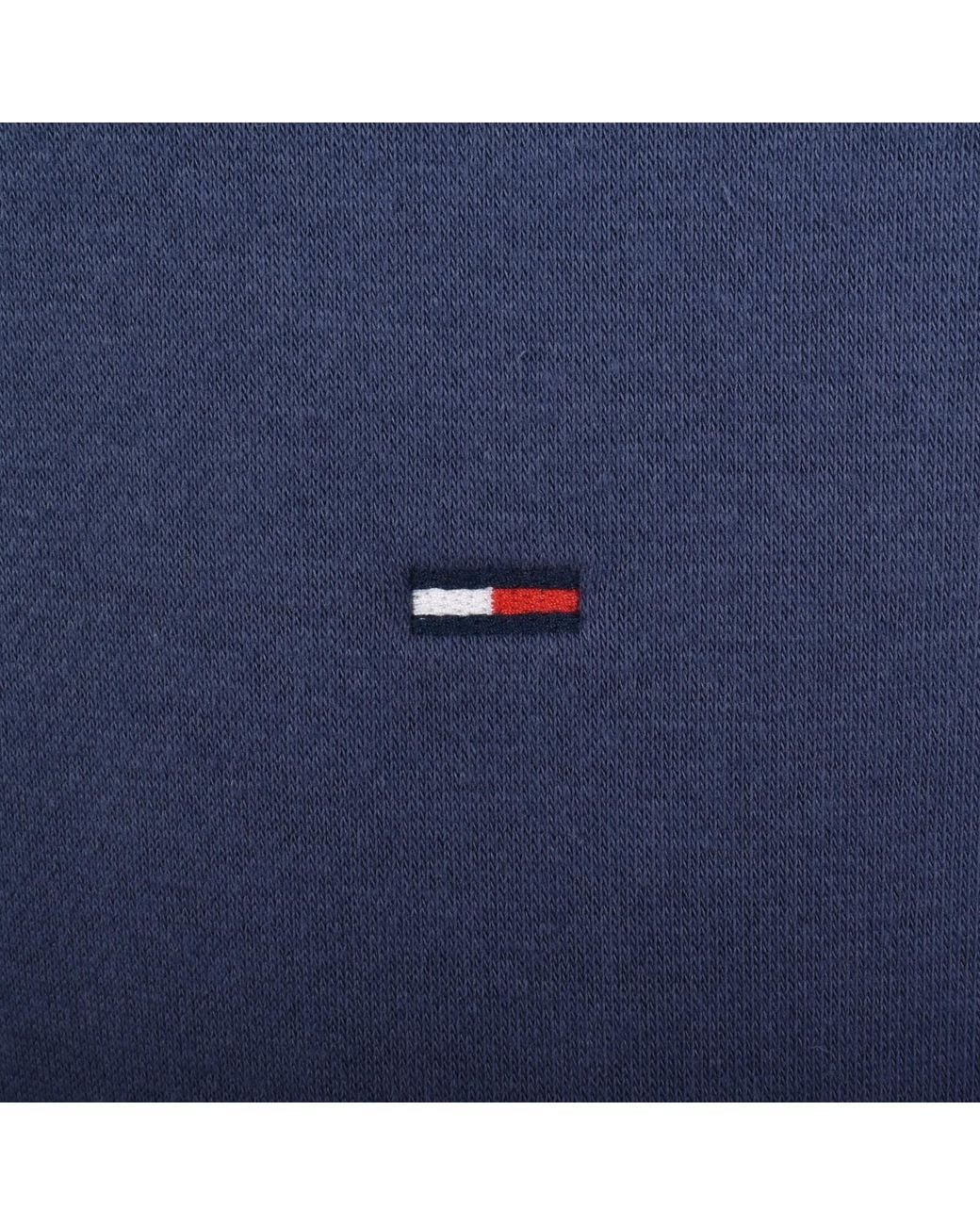 Tommy Hilfiger Blue Flag Logo Hoodie for men