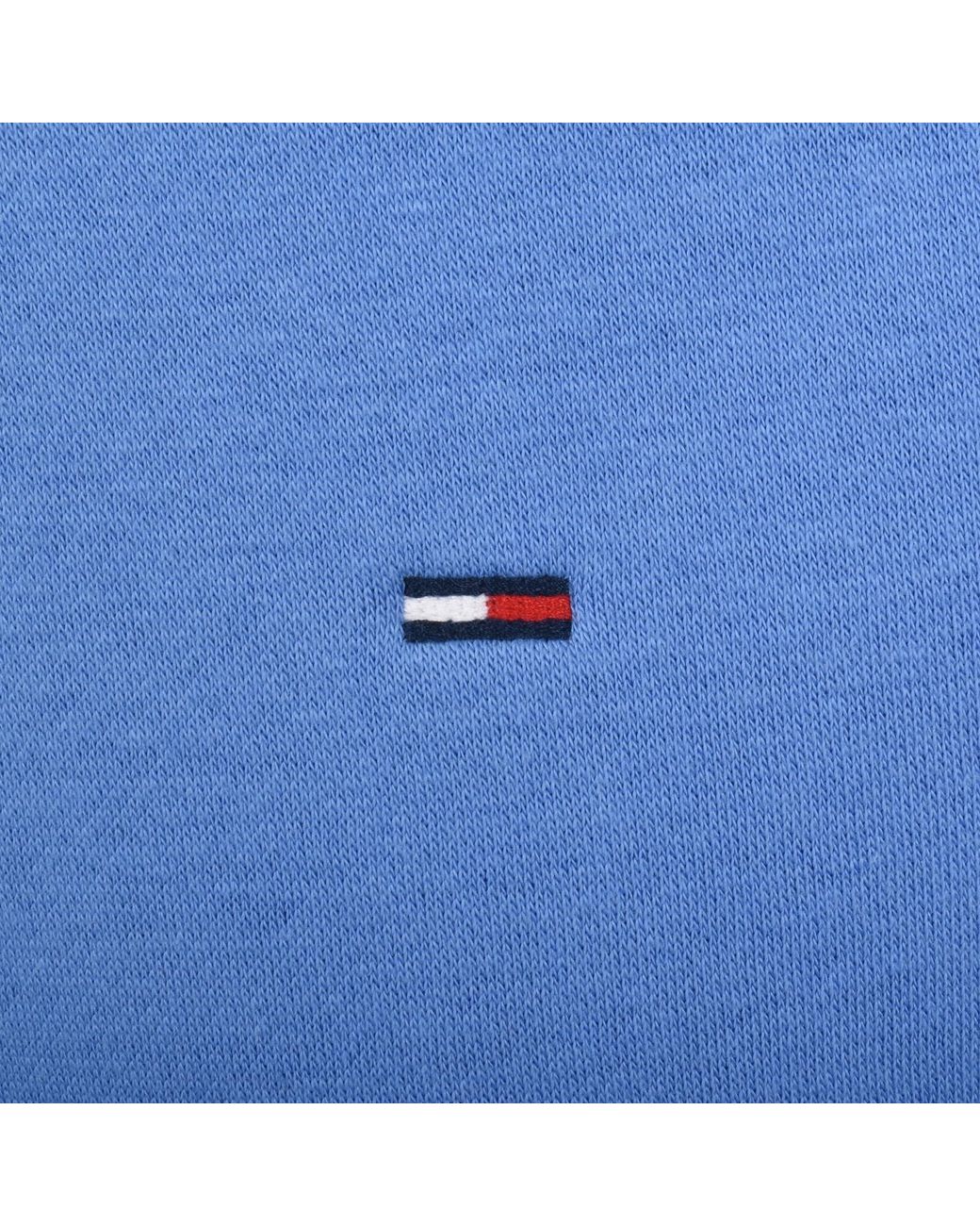 Tommy Hilfiger Blue Flag Logo Hoodie for men