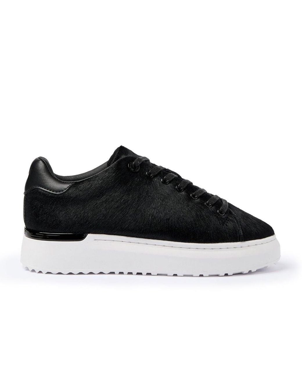 Mallet London Black Grftr Lite Pony