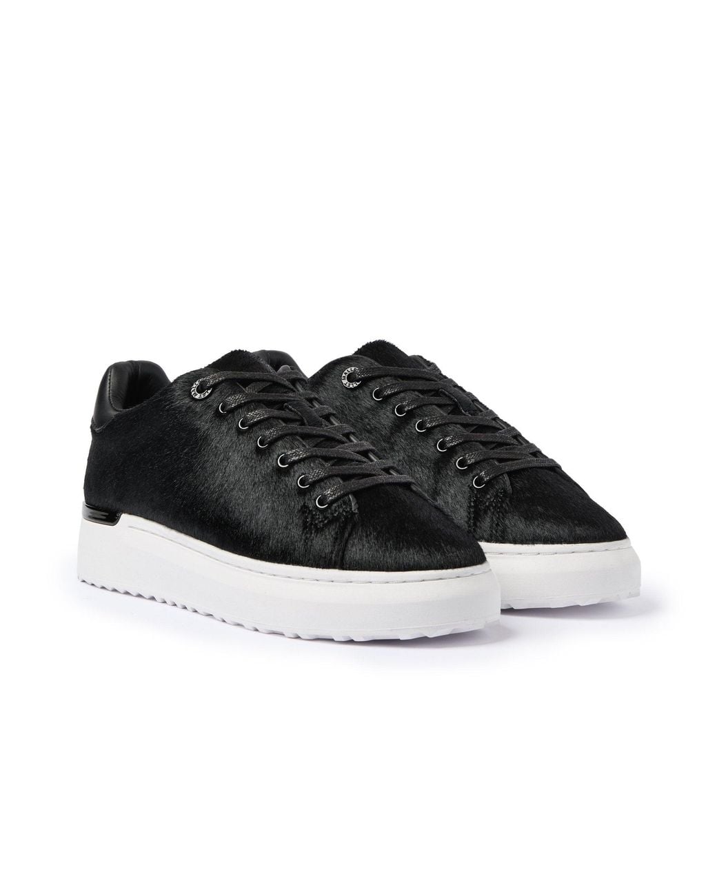 Mallet London Black Grftr Lite Pony
