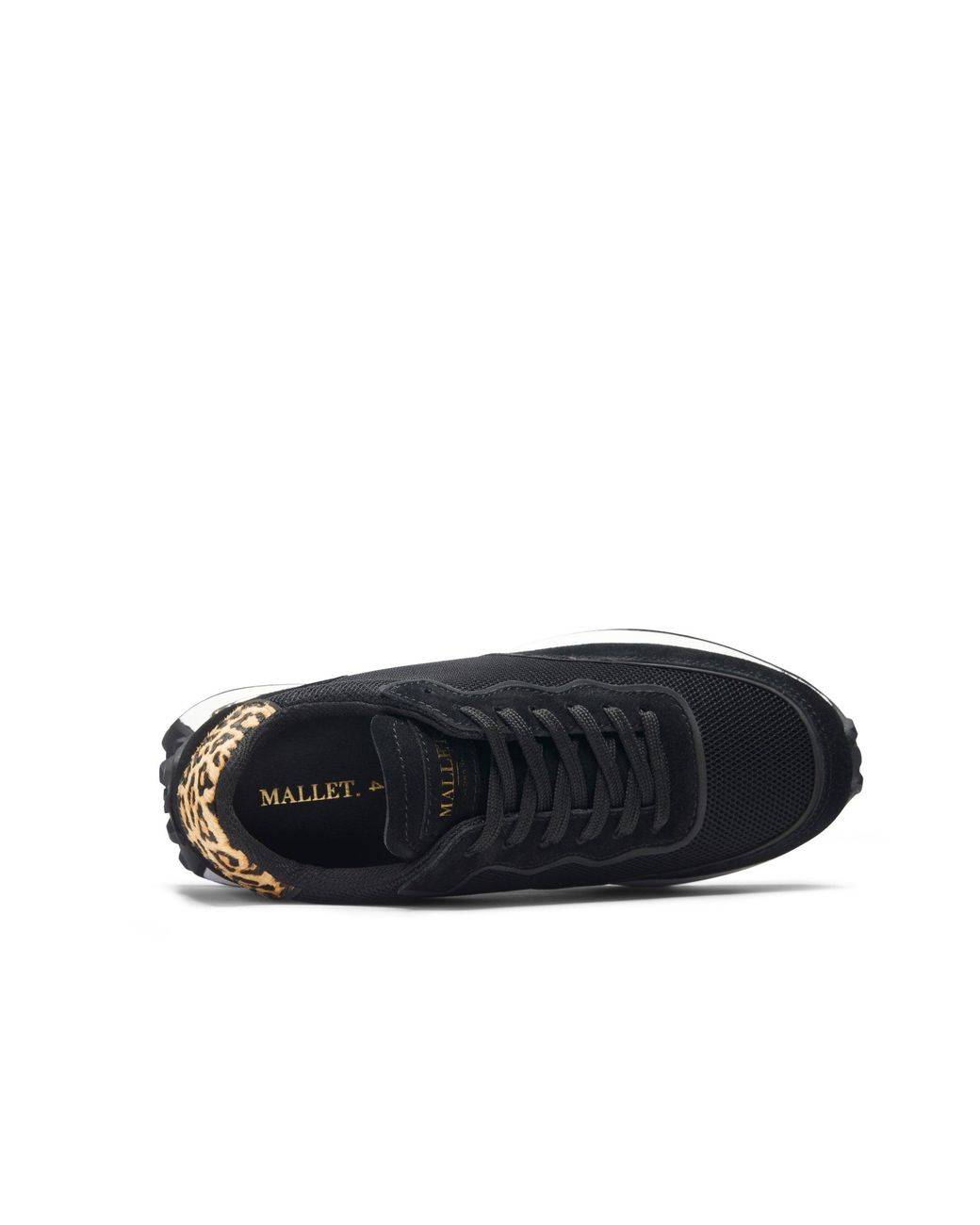Mallet Blue Caledonian Leopard
