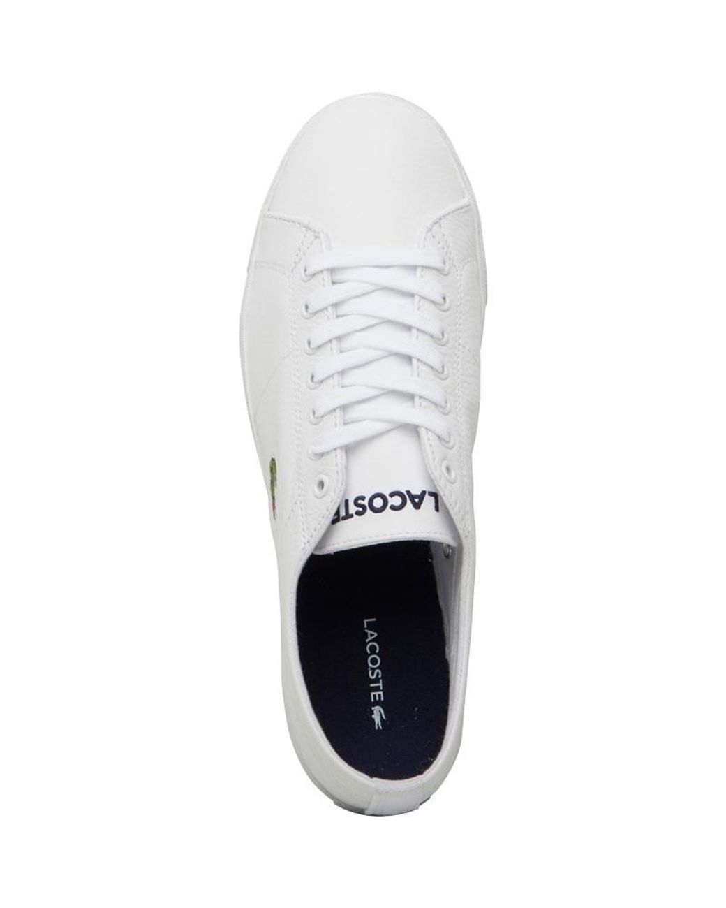 lacoste trainers m&m direct