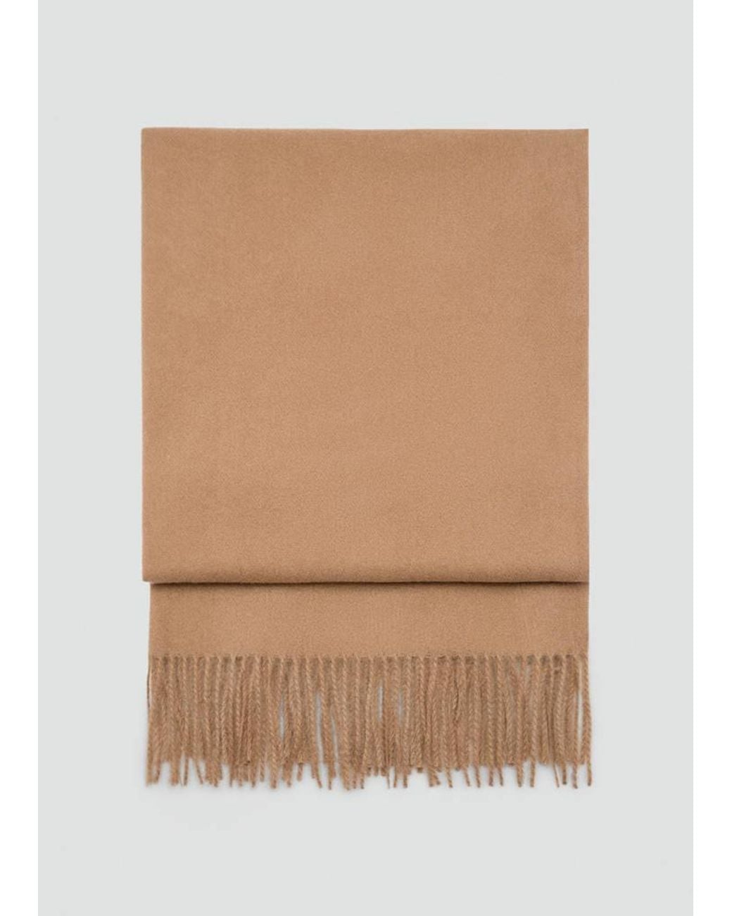 Mango Brown Fringed Edge Scarf