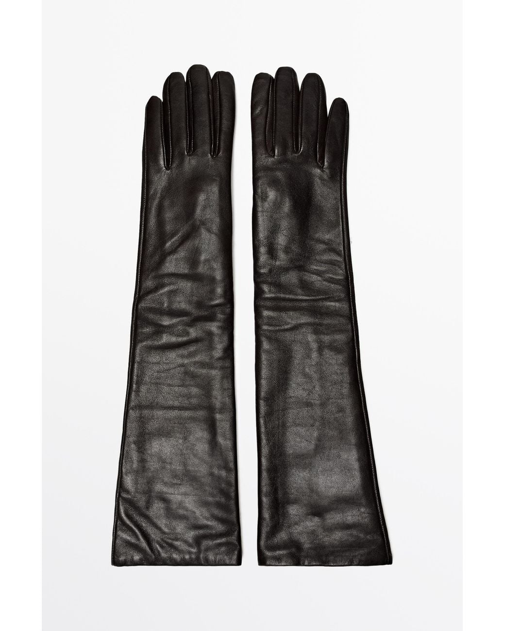 MASSIMO DUTTI Black Long Nappa Leather Gloves
