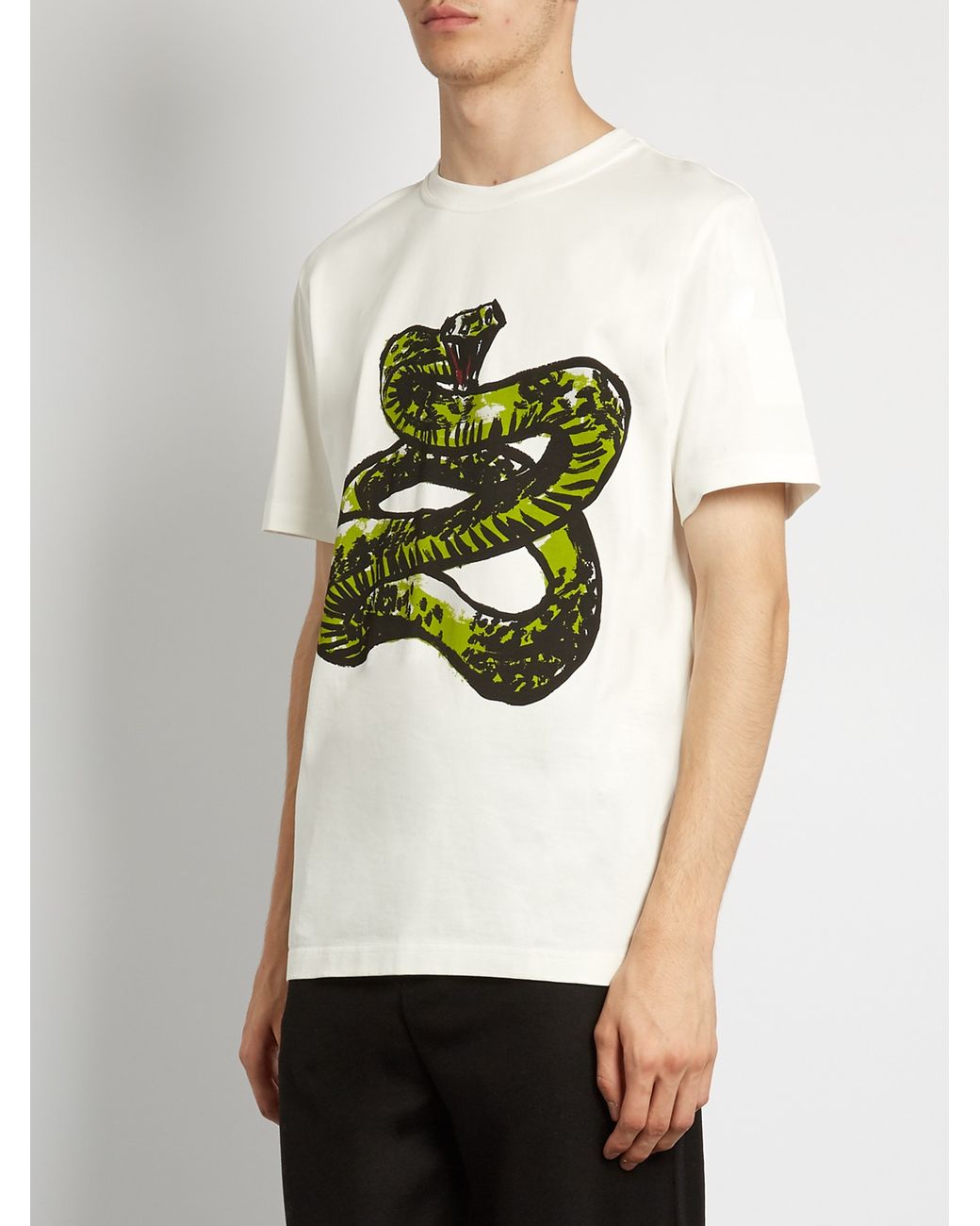 Balenciaga Snake-print Cotton-jersey T-shirt in White for Men | Lyst UK