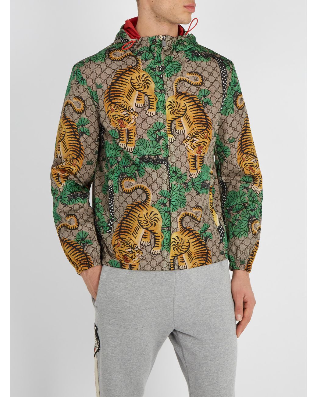 Gucci Bengal Tiger Print Jacket in Green for Men | Lyst Australia