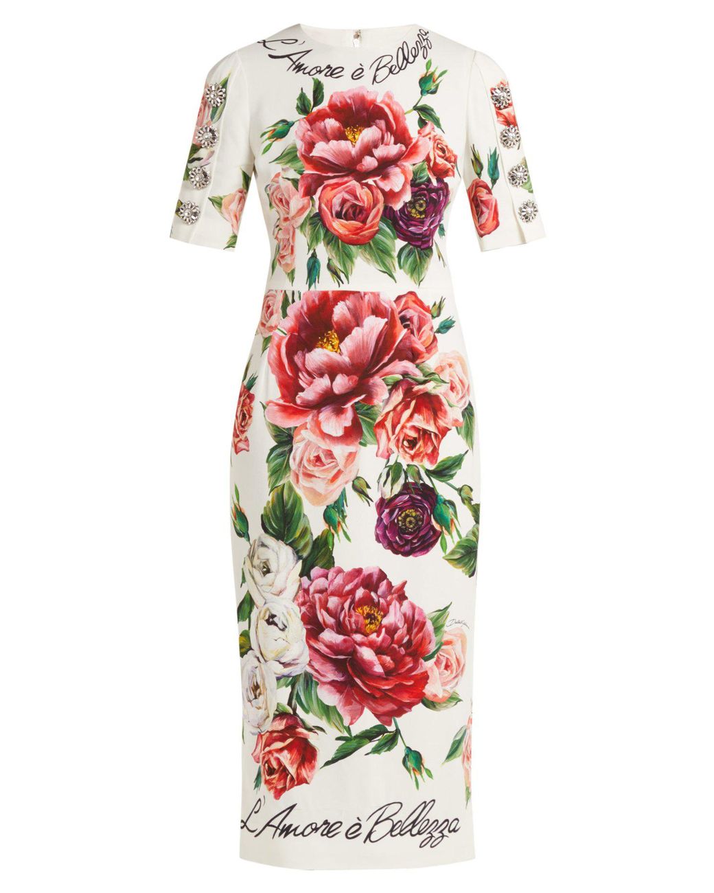 Dolce and gabbana 2025 labrador dress