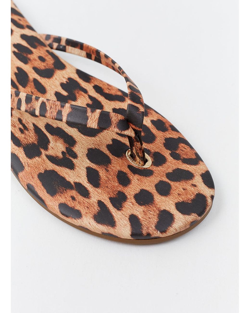 Melissa Odabash White Sandals