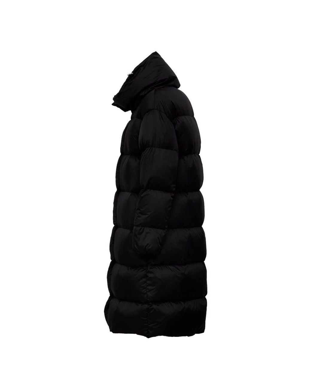 Down Coats Add en coloris Black