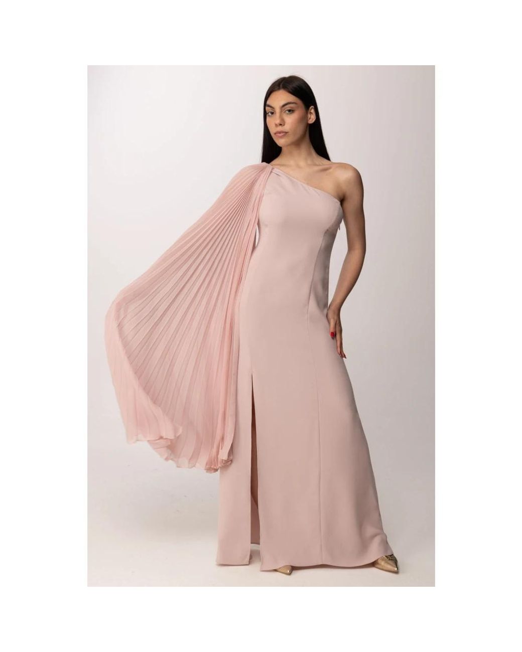 Hanita Pink Gowns