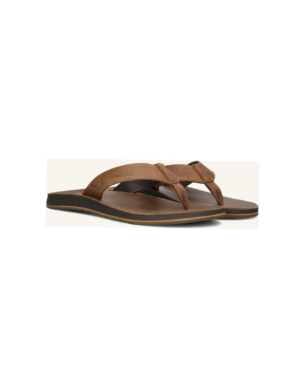 Reef Slippers in Brown für Herren