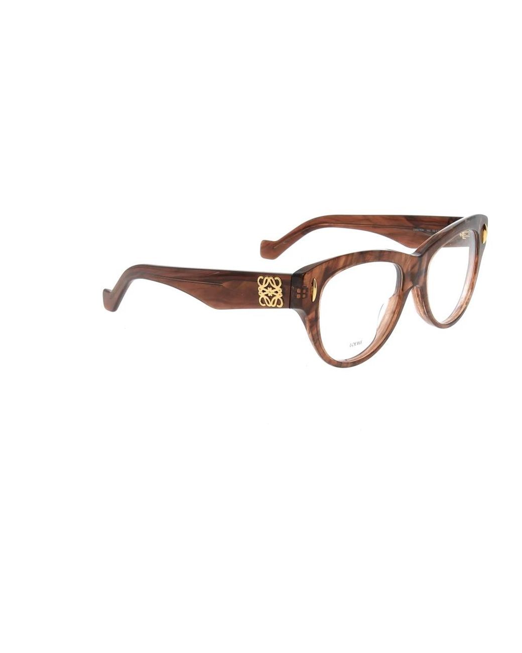 Loewe Brown Glasses