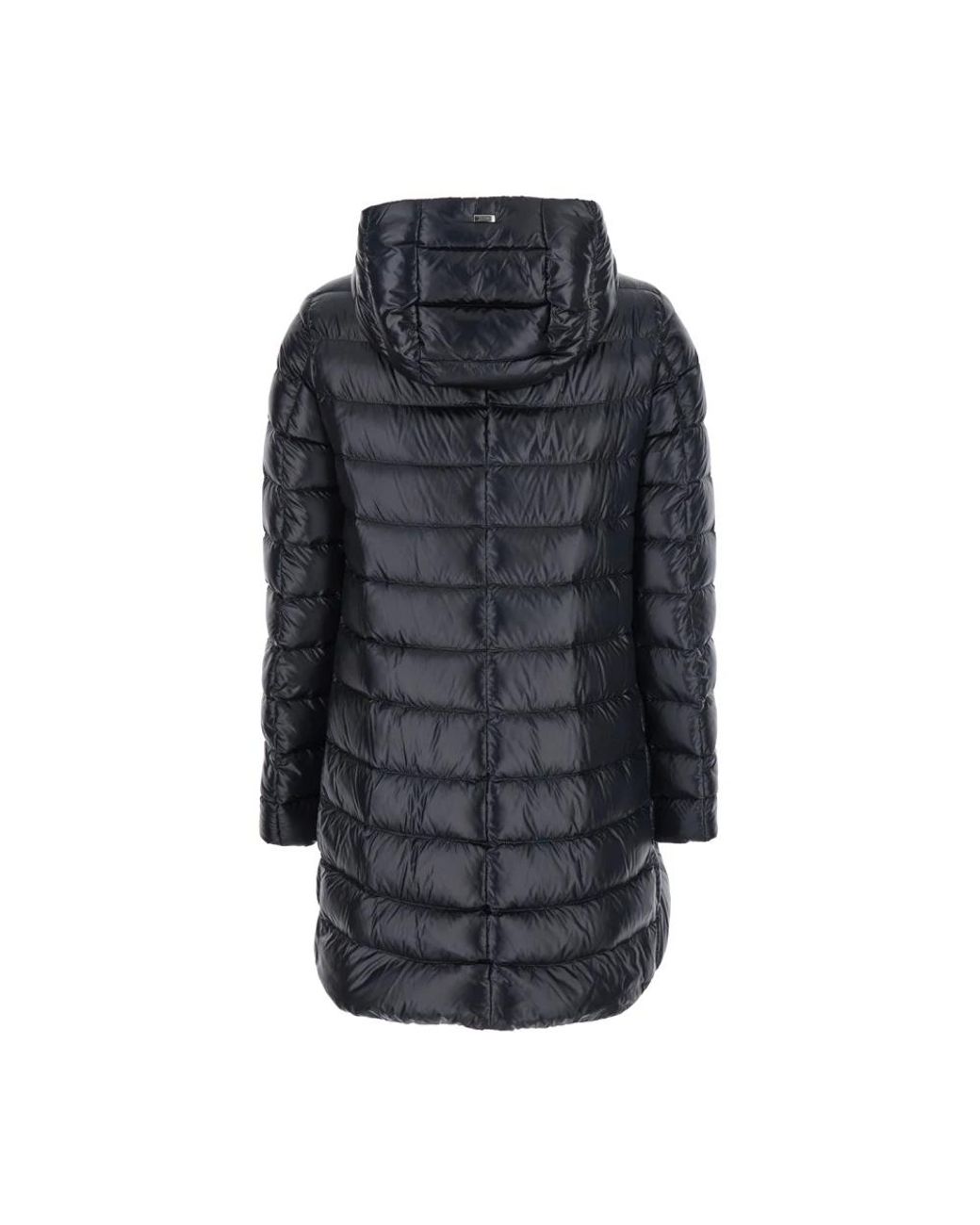 Down Coats di Herno in Black