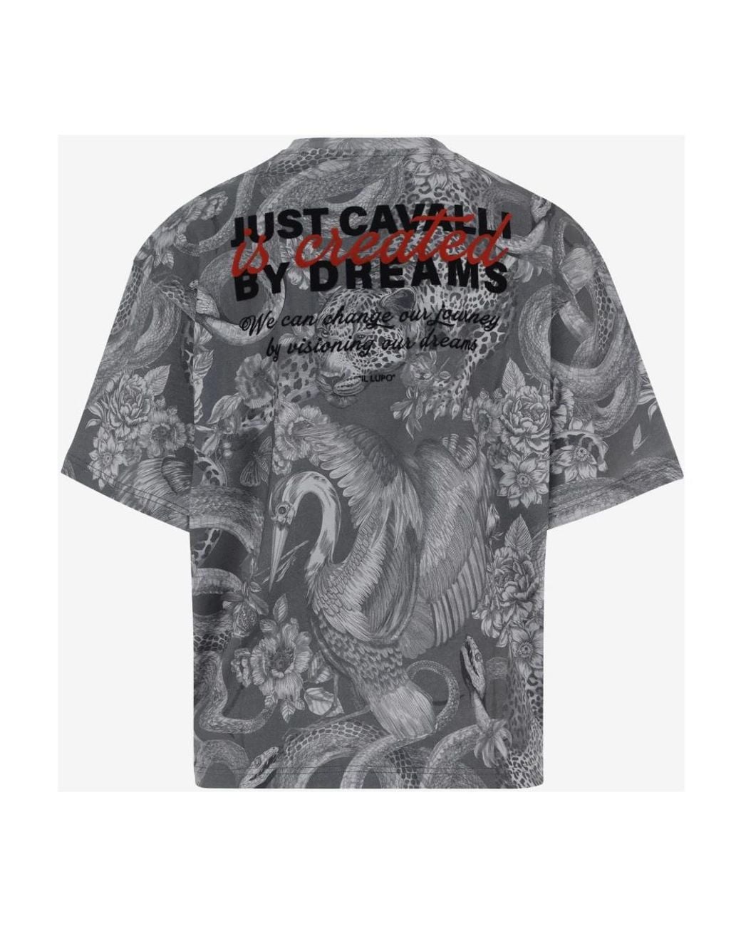 Just Cavalli Gray T-Shirts for men