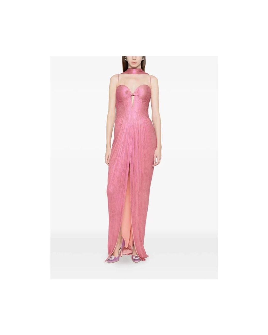 Maria Lucia Hohan Pink Gowns