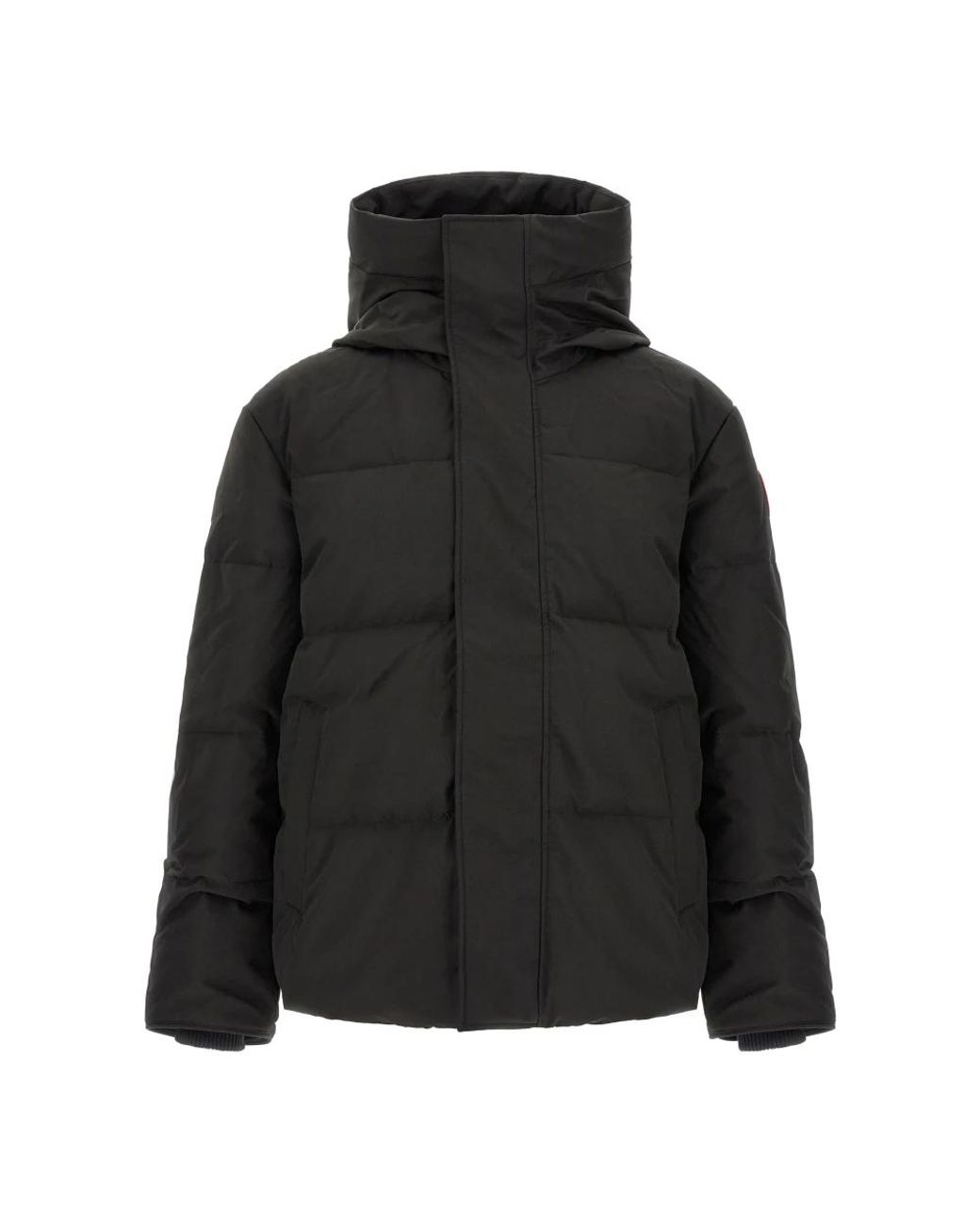 Winter Jackets Canada Goose de hombre de color Black