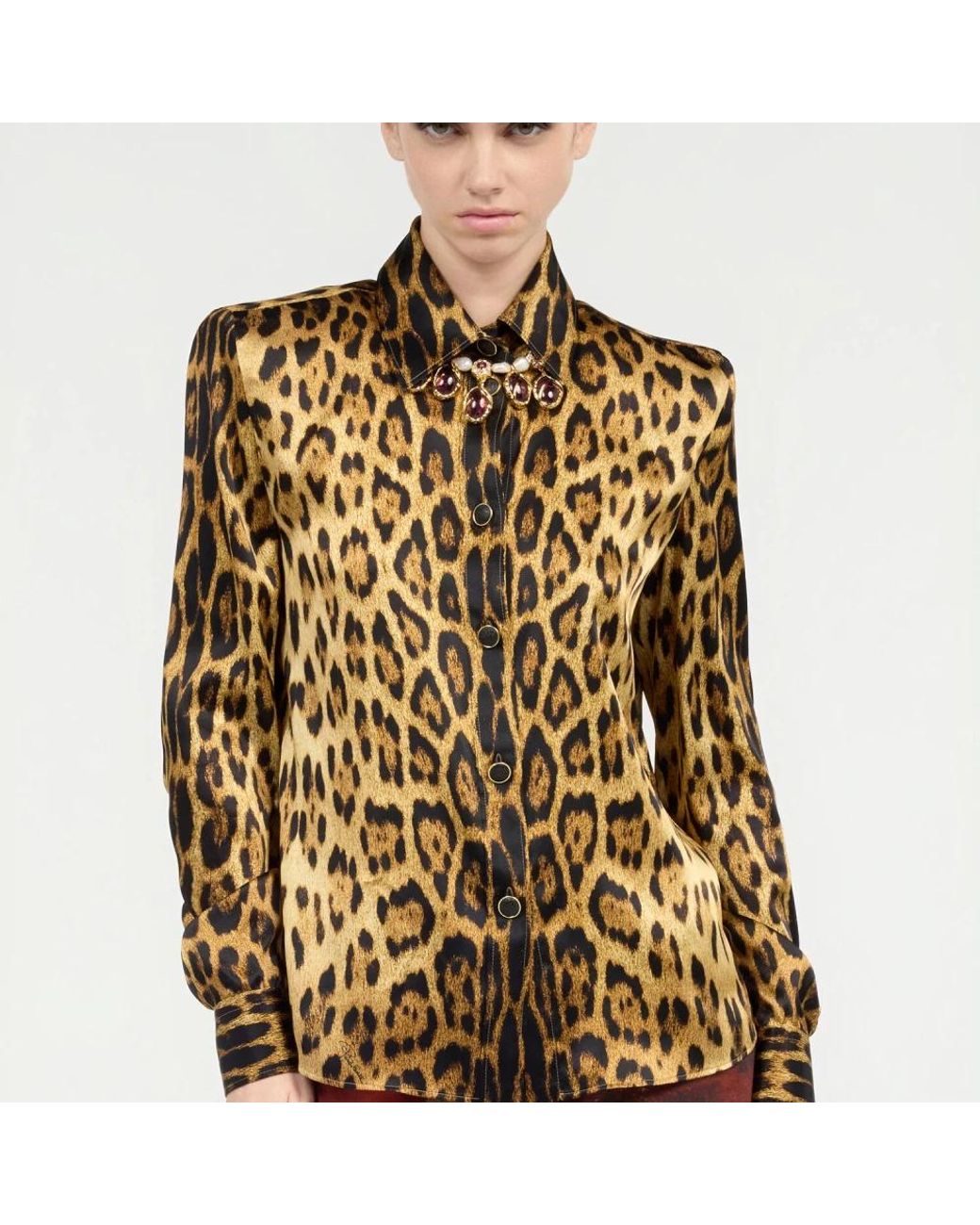 Roberto Cavalli Brown Shirts