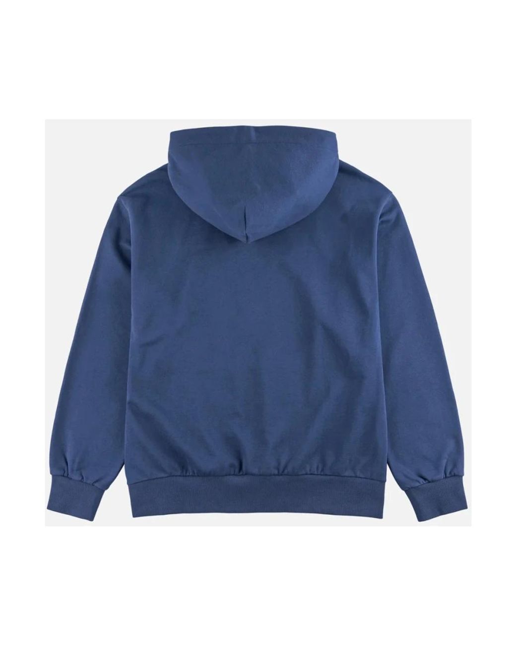 Hoodies Evisu pour homme en coloris Blue