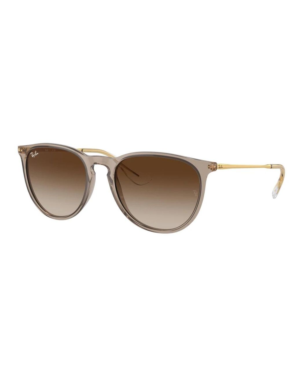 Ray-Ban Brown Sunglasses