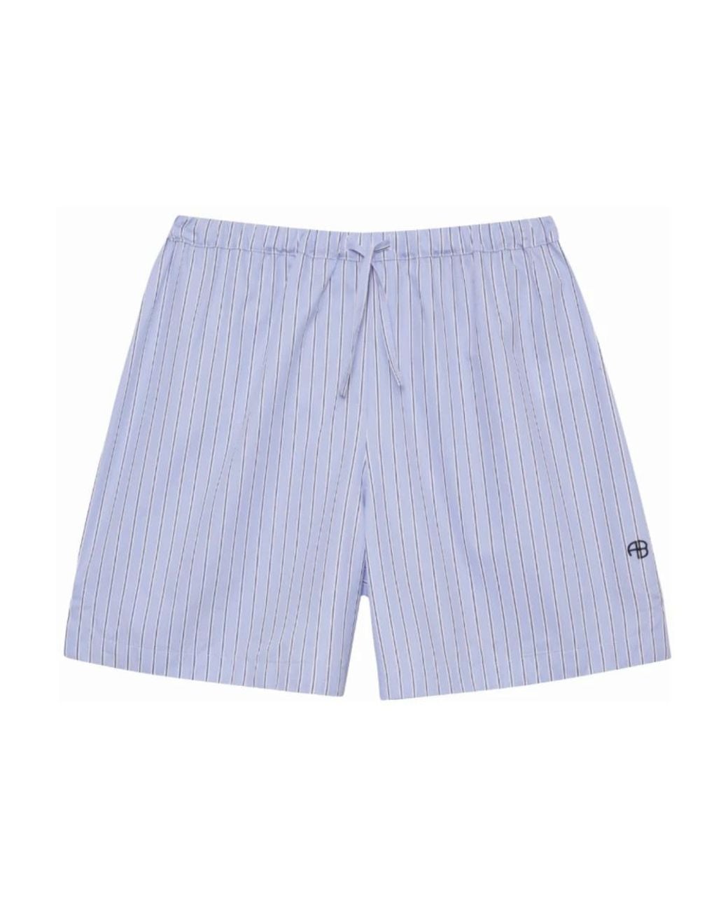 Anine Bing Blue Casual Shorts