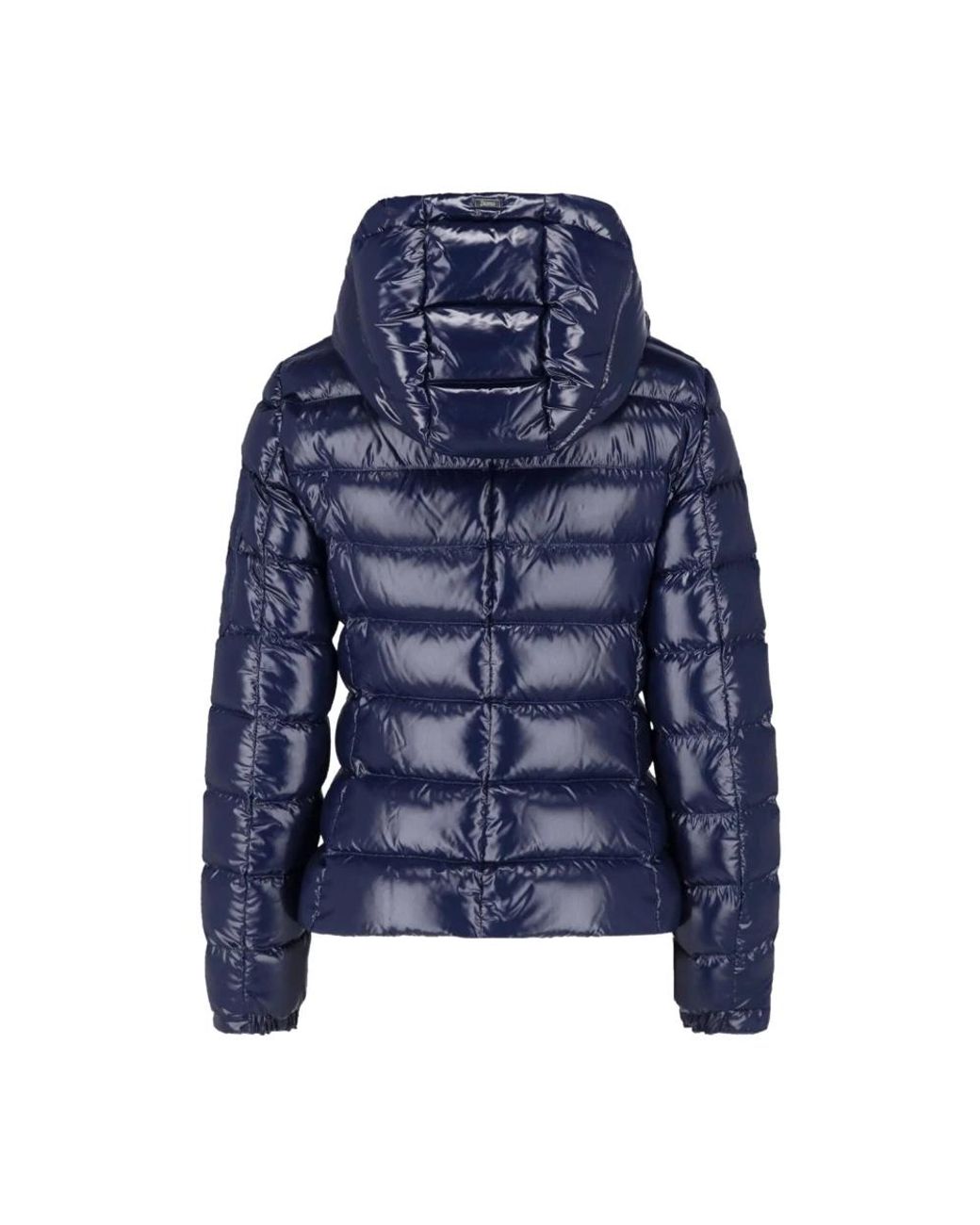 Down Jackets Herno de color Blue