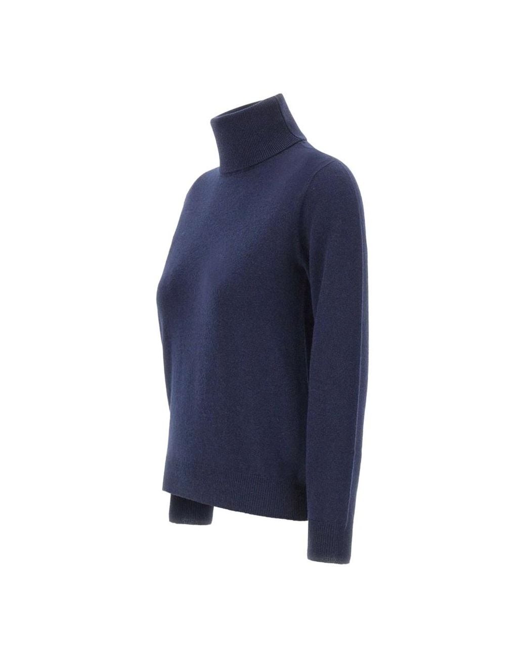 Kangra Blue Turtlenecks