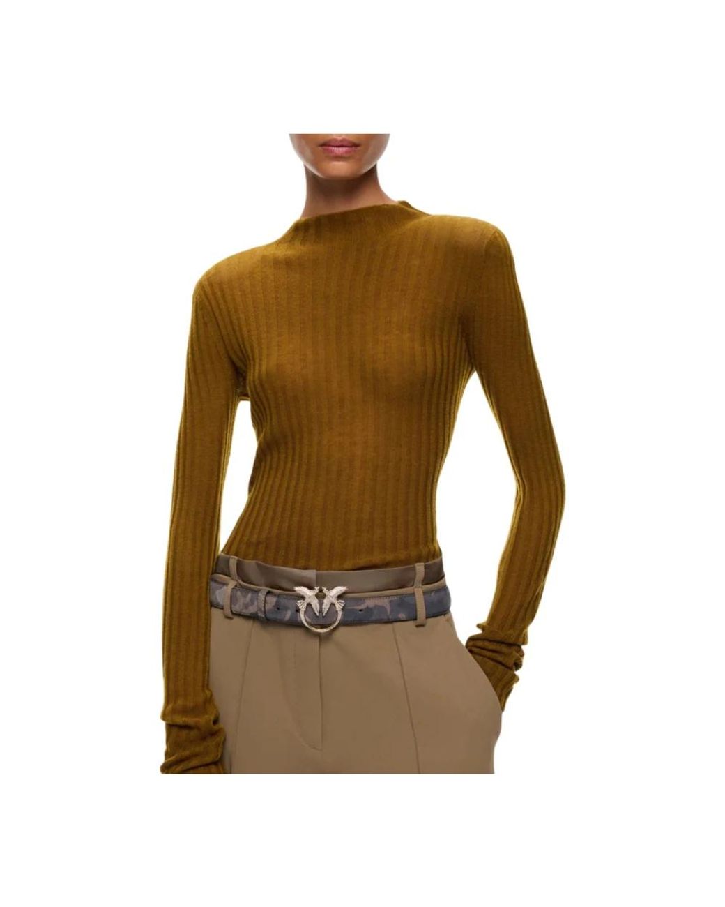 Pinko Brown Round-Neck Knitwear