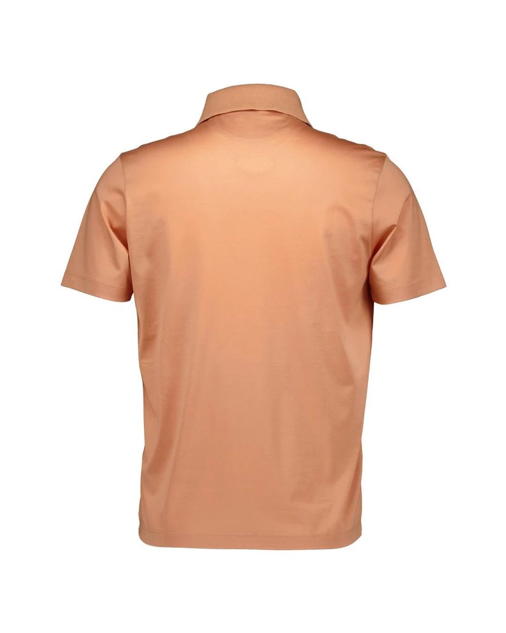 Paul & Shark Brown Polo Shirts for men