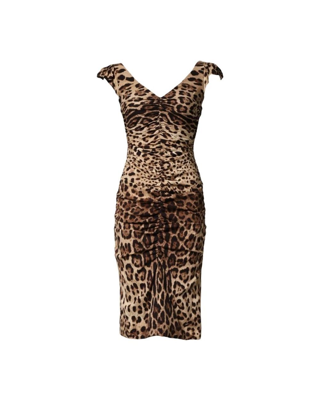 Dolce & Gabbana Brown Midi Dresses