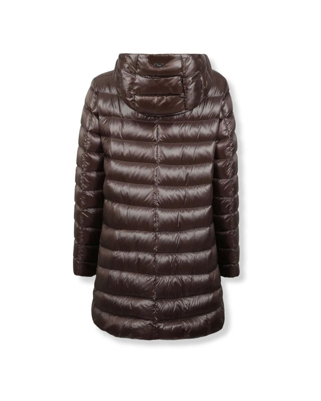 Down Jackets Herno de color Brown