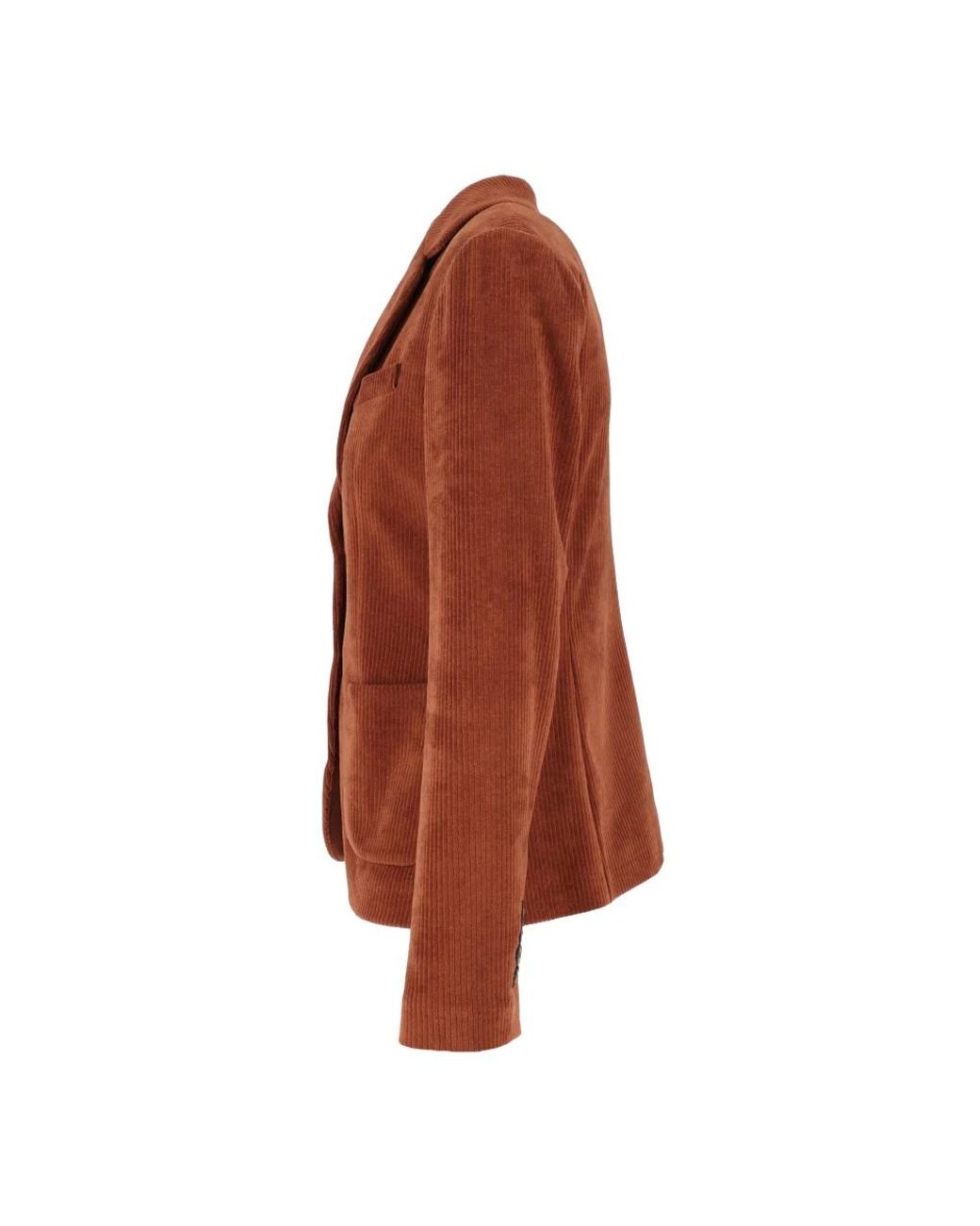 Circolo 1901 Brown Blazers