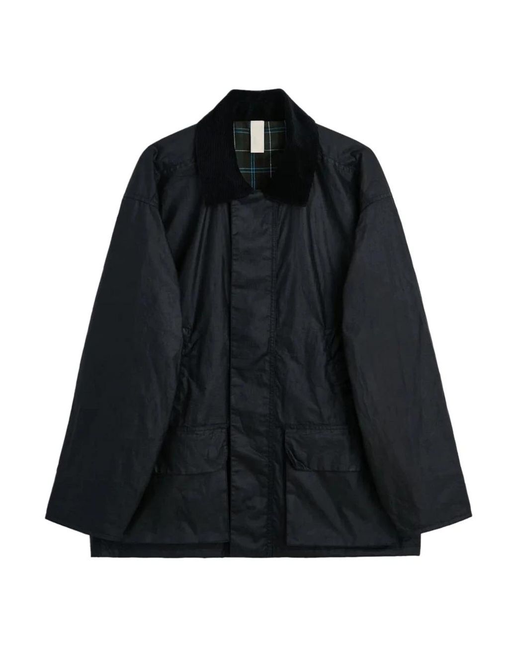 Light Jackets sunflower pour homme en coloris Black