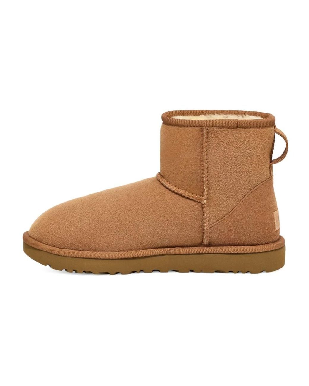 Winter Boots Ugg en coloris Brown