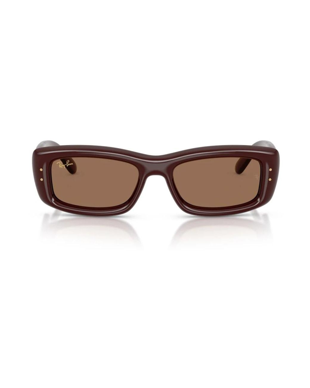 Ray-Ban Brown Sunglasses