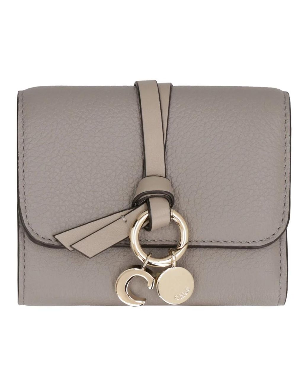Wallets & Cardholders Chloé de color Gray