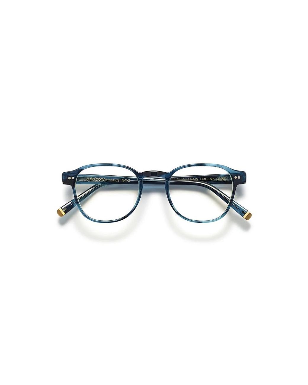 Moscot Blue Glasses