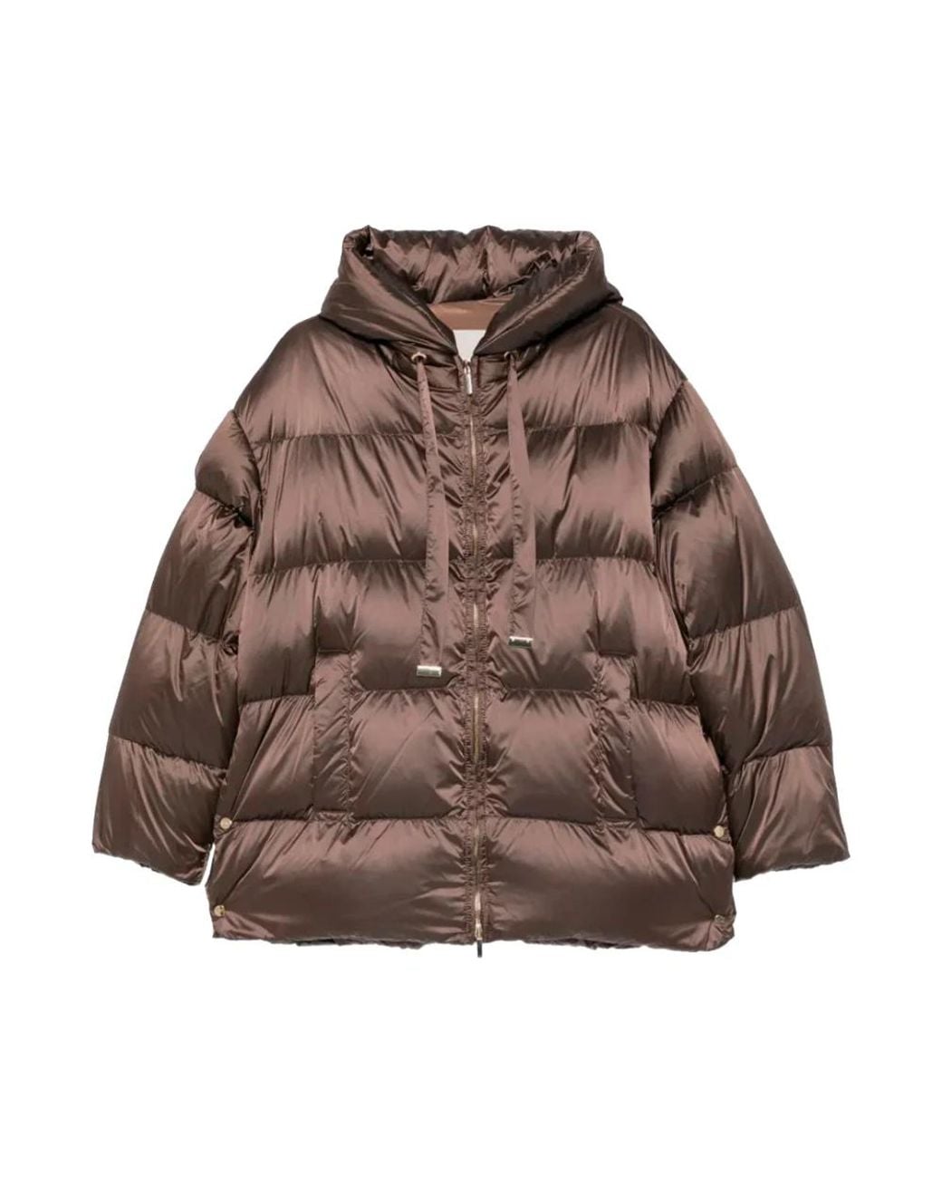 Down Jackets Max Mara en coloris Brown