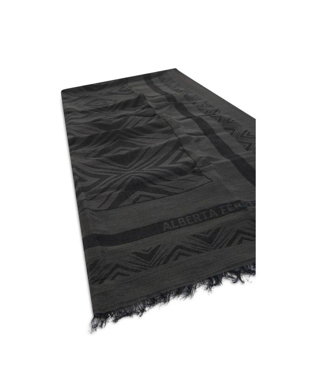 Alberta Ferretti Black Winter Scarves