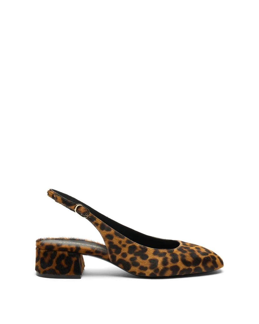 Pumps Stuart Weitzman en coloris Brown