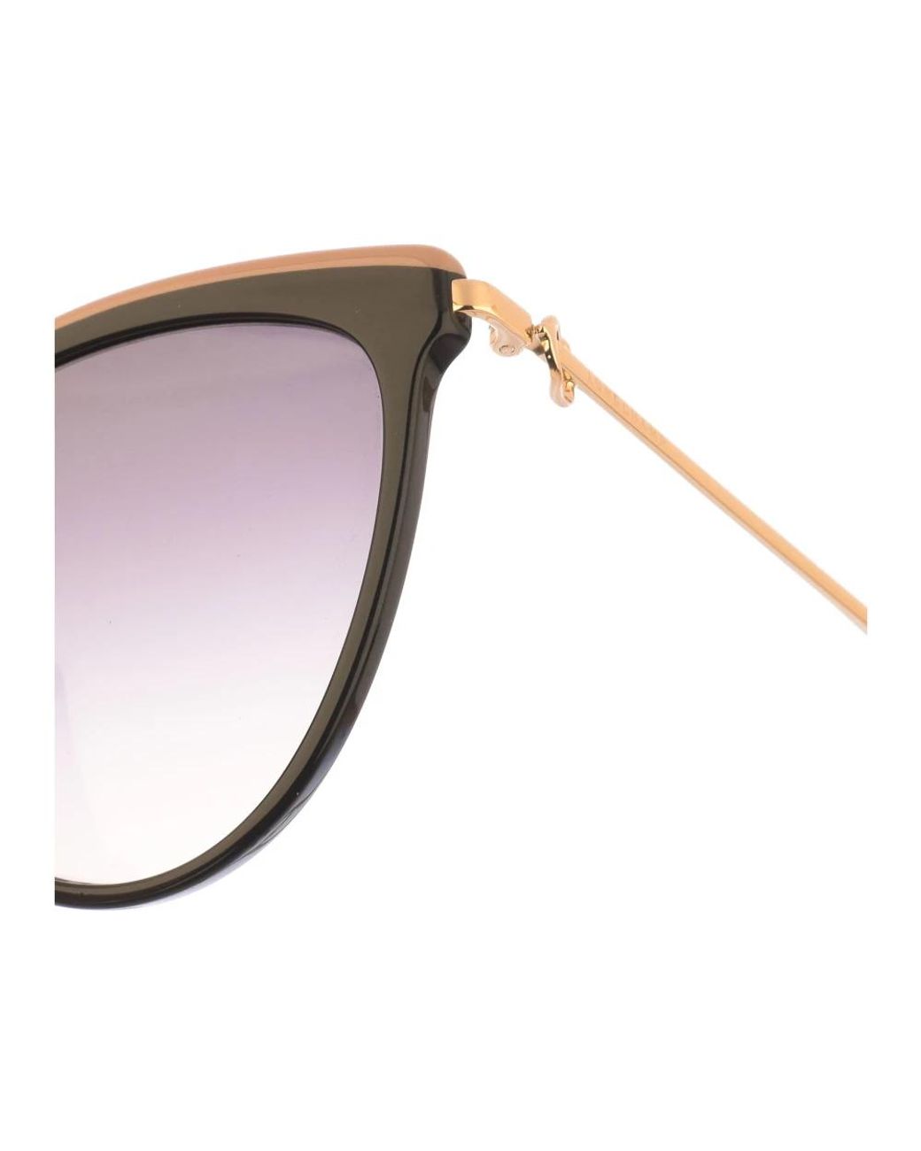 Longchamp Brown Sunglasses