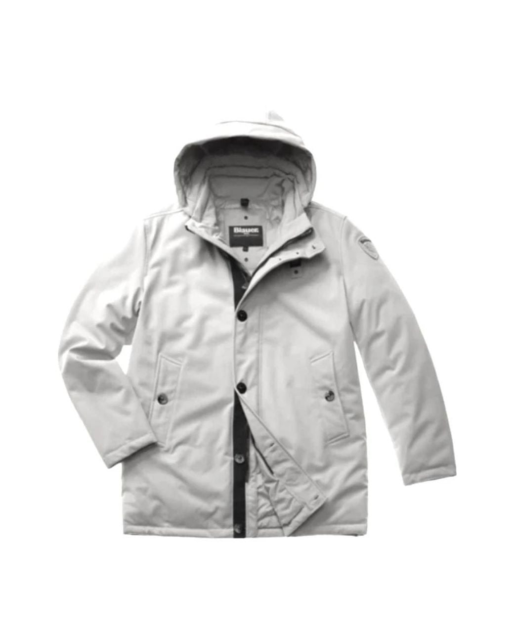 Blauer Gray Down Jackets for men
